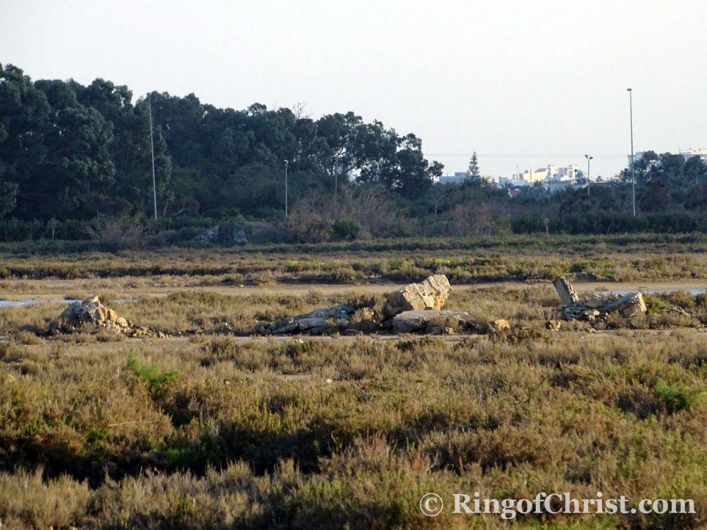 Silted up estuary of the Pedieos river