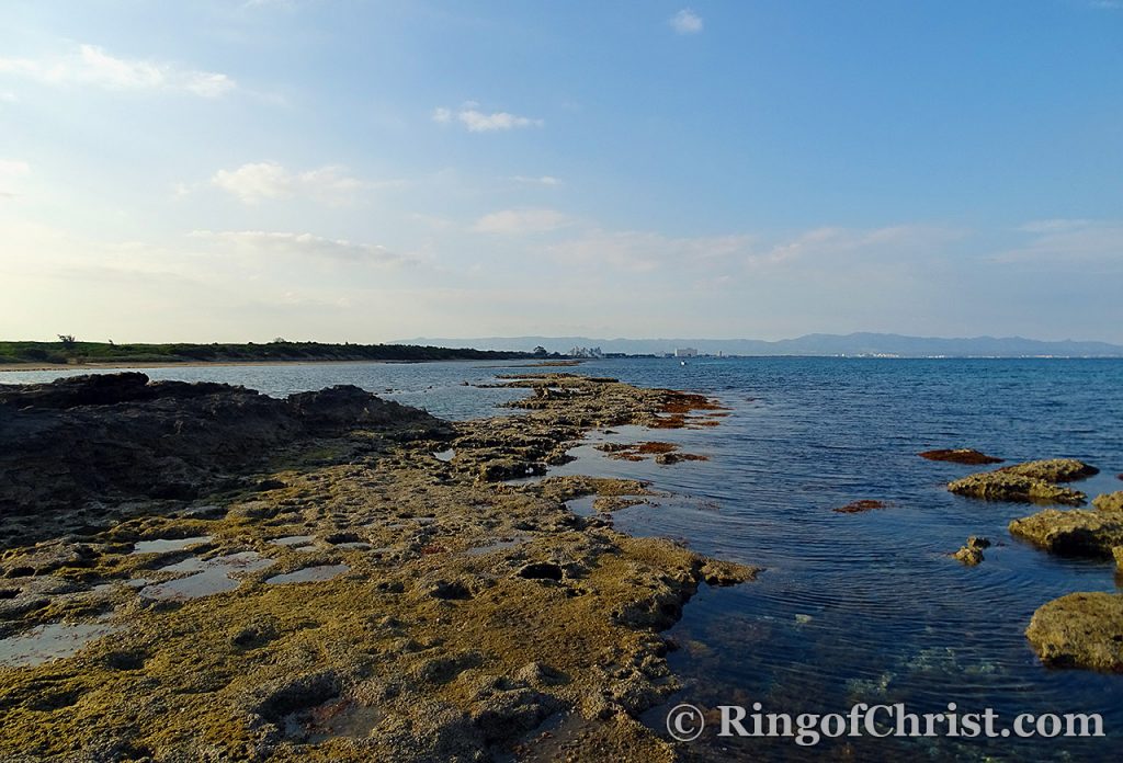 The Ancient Port of Salamis