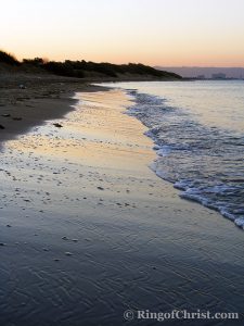 The Beach at Salamis