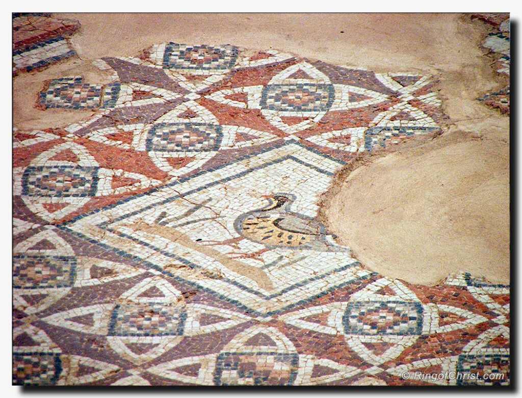 Partridge Mosaic at the House of Eustolios